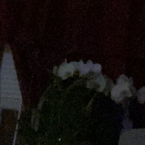 Meet your Posher, Flor